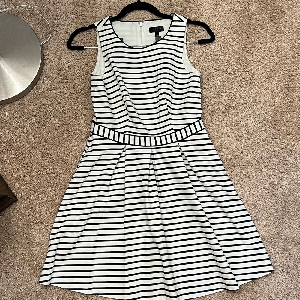 Limited black and white stripped classic a-line dress with pockets in size 2P.